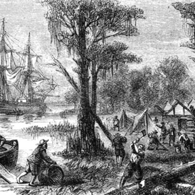 Timeline: The Revolution