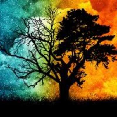 Timeline: la historia de internet