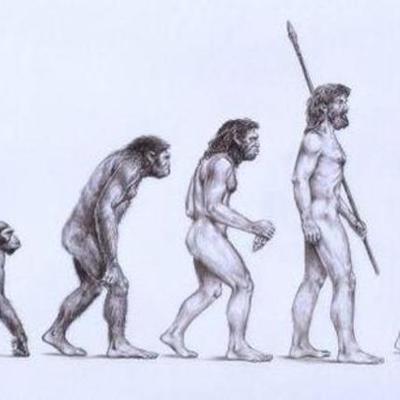 Timeline: Darwin and Evolution Timeline