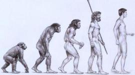 Timeline: Darwin and Evolution Timeline