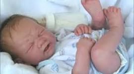 Timeline: my biography