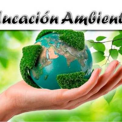 Timeline: Origen y Evolución de la Educación Ambiental