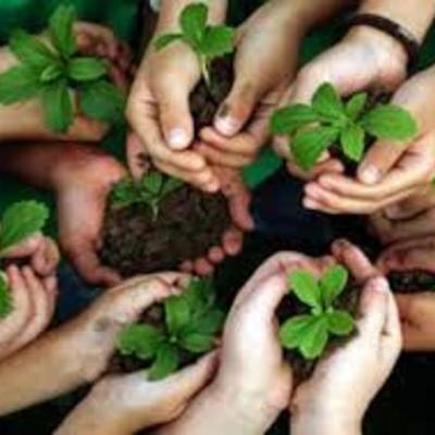 Timeline: linea de tiempo educación ambiental