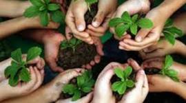 Timeline: linea de tiempo educación ambiental