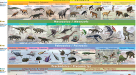 Timeline: La edad de la tierra