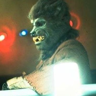 Timeline: Shistavanen Evolution