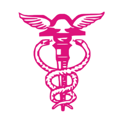 Timeline: História da Contabilidade