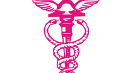 Timeline: História da Contabilidade