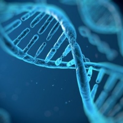 Timeline: Historia de la Modificación Genética