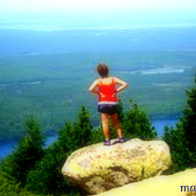 Timeline: Olivia Averys Life