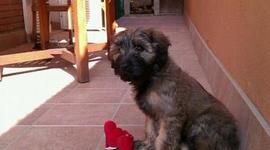 Timeline: Alba Casulleras