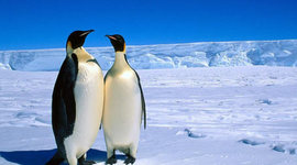 Timeline: The History of Antarctica - Significant Events