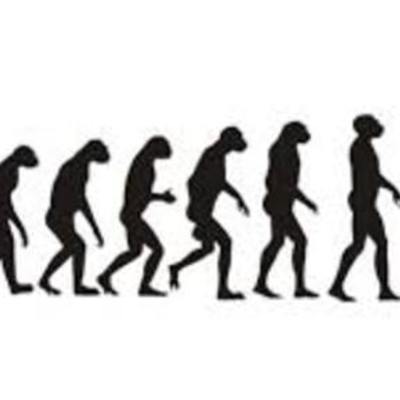 Timeline: Teorías evolutivas