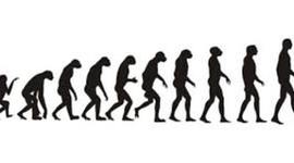 Timeline: Teorías evolutivas