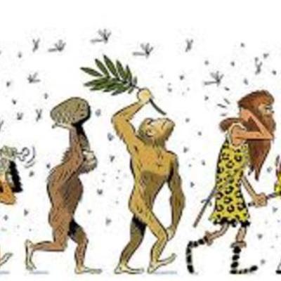 Timeline: Teorías de la Evolución