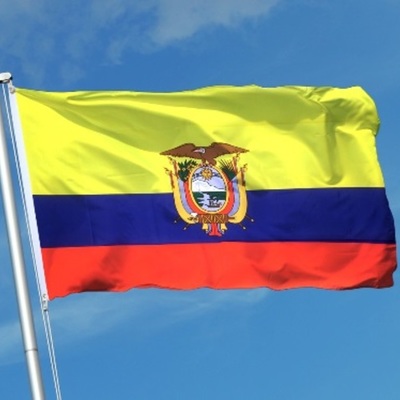 Timeline: Historia de la Bandera Nacional