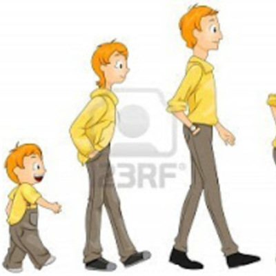 Timeline: Etapas del ciclo vital del ser humano.