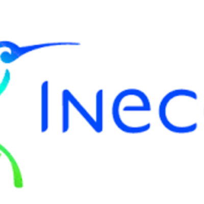 Timeline:                        Instituto de Ecología A.C