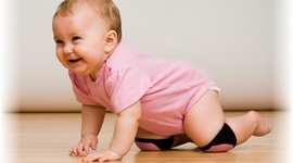 Timeline: Milestones