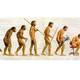 Evolucion