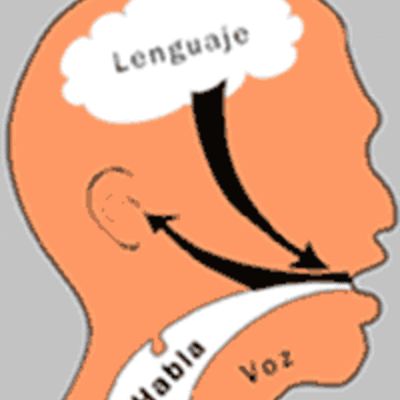 Timeline: Evaluación fonoaudiológica