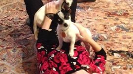 Timeline: esquema cronológico de Kayleigh