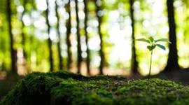 Timeline: 5.3 Learning Assessment