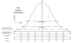 Timeline: Segundo Parcial