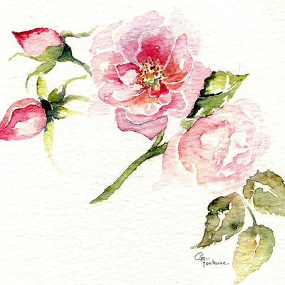 Timeline: Mi historia.