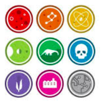 Timeline: Big History Project Assessment Task - Chloe Wentsel