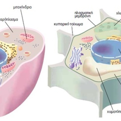 Timeline: ΒΙΟΛΟΓΙΑ ΚΑΙ .....ΑΛΛΗ ΒΙΟΛΟΓΙΑ