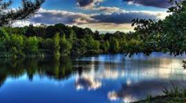 Timeline: Se creativo con la naturaleza