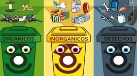 Timeline: CANECAS DE BASURA