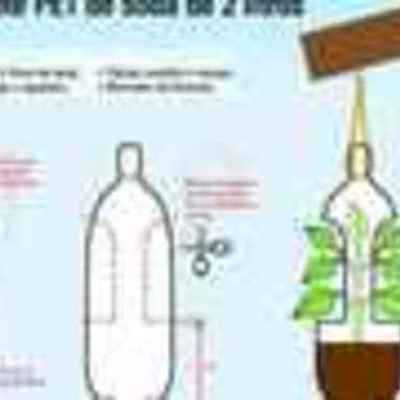 Timeline: MASETA CON BOTELLA