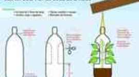 Timeline: MASETA CON BOTELLA