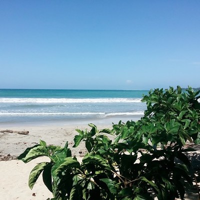 Timeline: Diario de clase