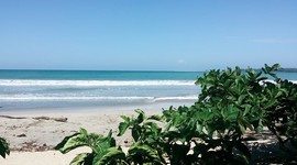 Timeline: Diario de clase