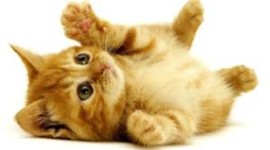 Timeline: William Golding