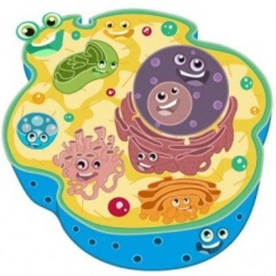 Timeline: Linea del tiempo ·Orgánulos·