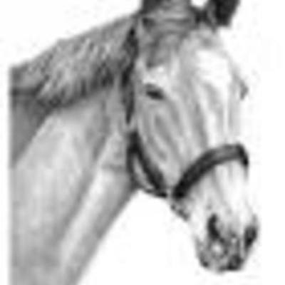 Timeline: England Age of Exploration