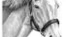 Timeline: England Age of Exploration