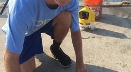 Timeline: Most Damaging Tsunamis