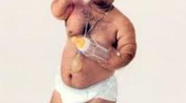 Timeline: Western Expansion Timeline