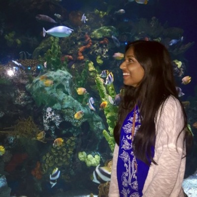 Timeline: Deadly Tsumanis- Eunita Chandardat