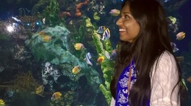 Timeline: Deadly Tsumanis- Eunita Chandardat