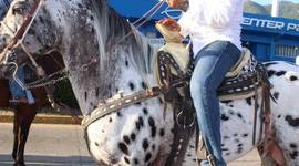 Timeline: MI HISTORIA