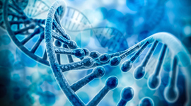 Timeline: Zika Timeline