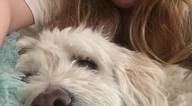 Timeline: Most Damaging Tsunamis