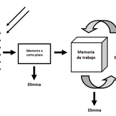 Timeline: Evolucion de Santa Cruz
