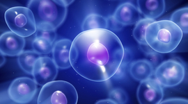 Timeline: Cell Theory Timeline Project_Emilio Soto